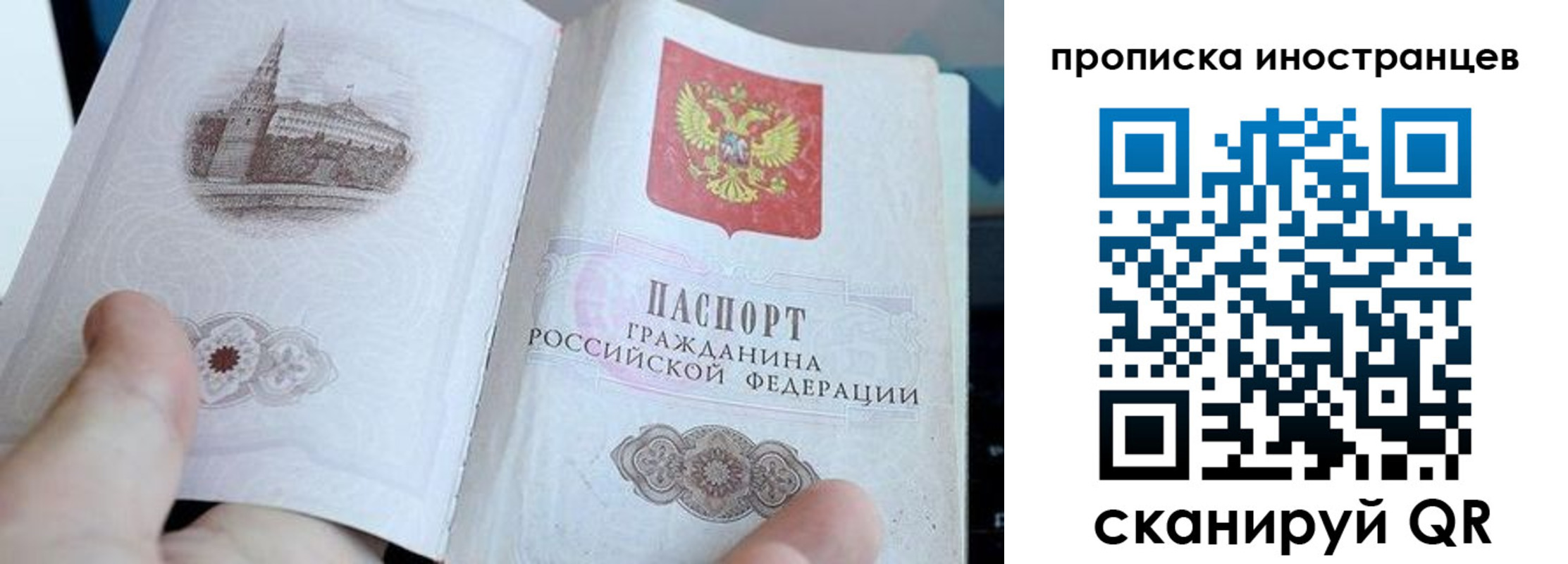 прописка поиск в Сертолово